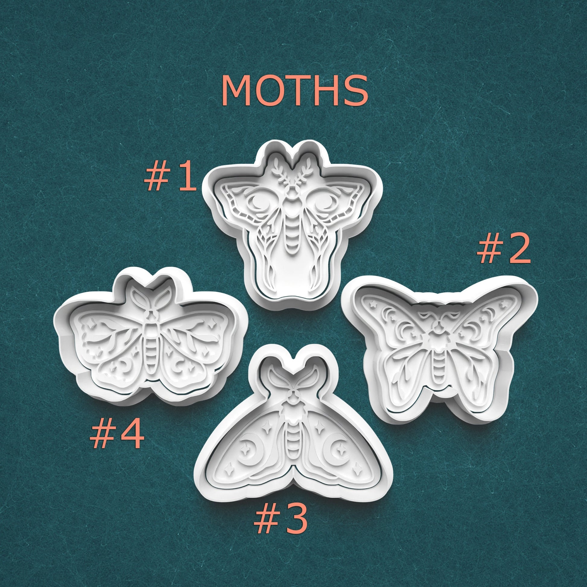 Four butterfly-shaped cookie cutters on a teal background with 'Moths' text above.