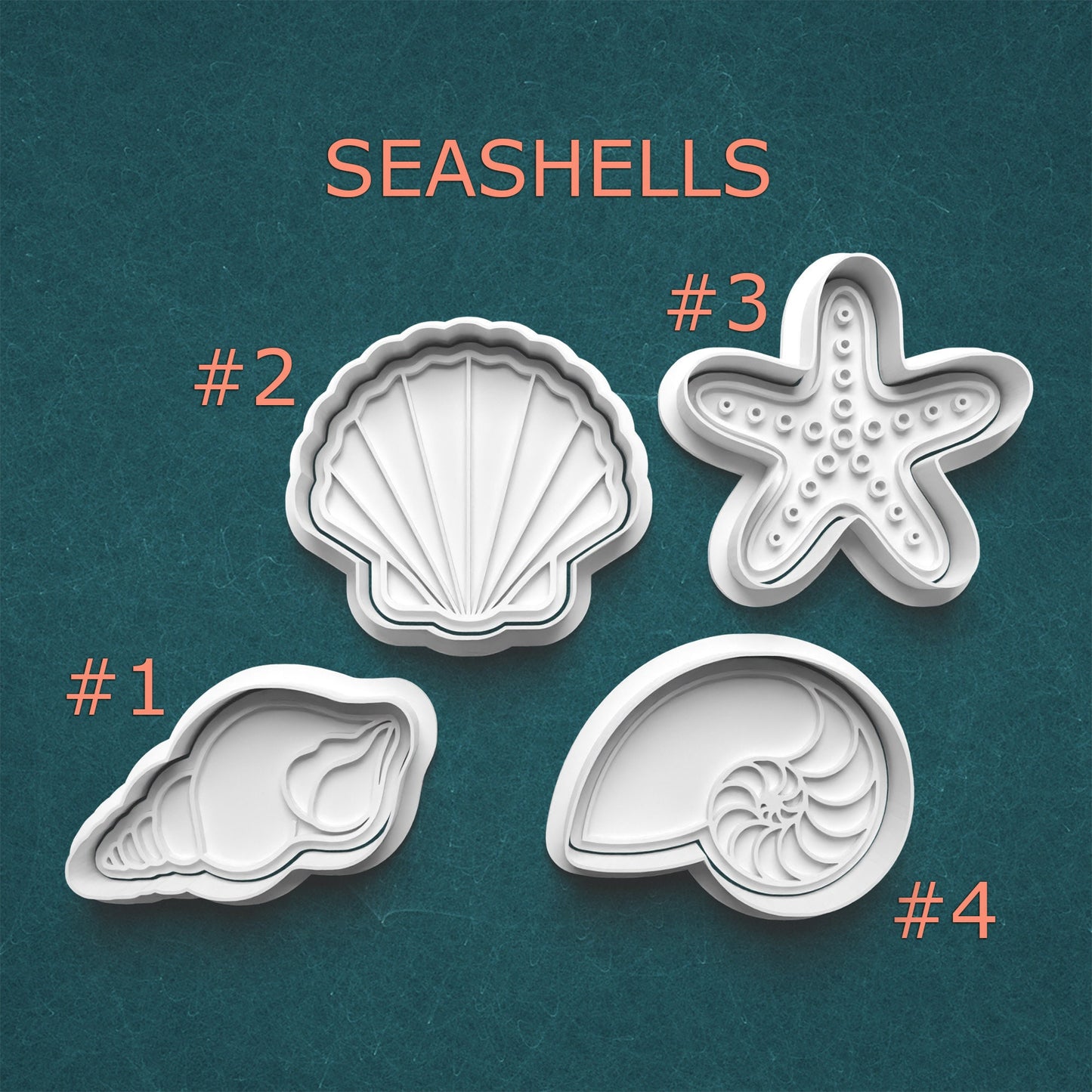 Set of seashell-shaped cookie cutters on a teal background