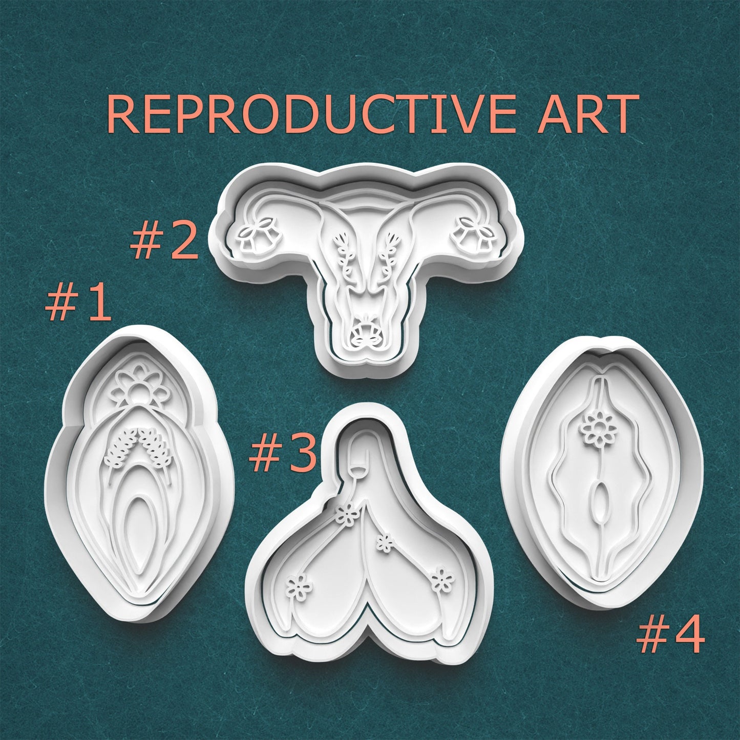 Reproductive Anatomy Cookie Cutter & Stamp Set – 4 Styles Available