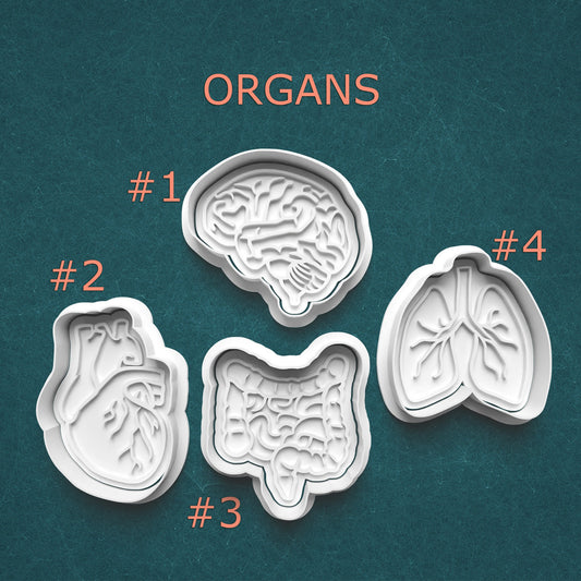 Four anatomical cookie cutters shaped like different organs on a teal background.