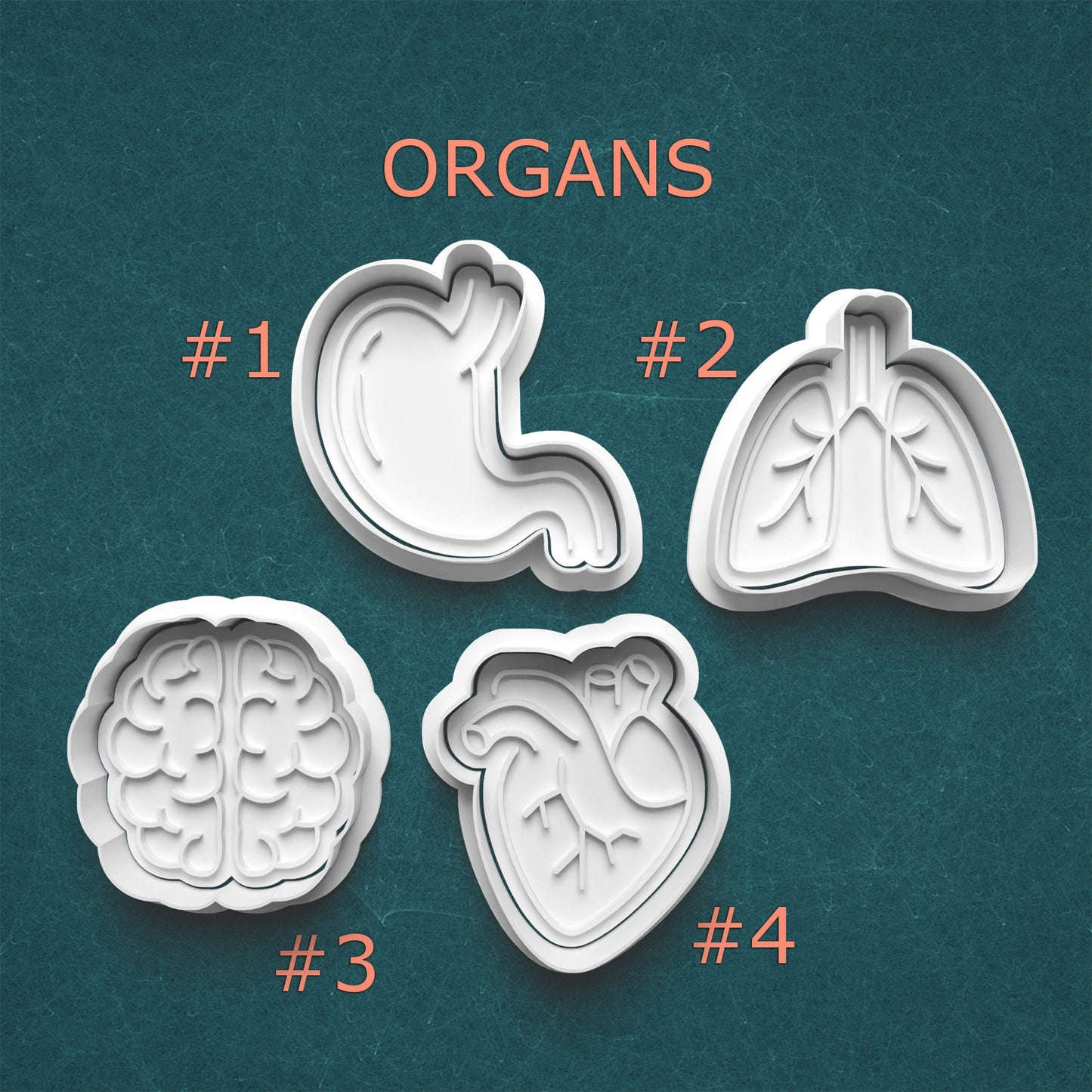 Four cookie cutters shaped like different organs on a teal background