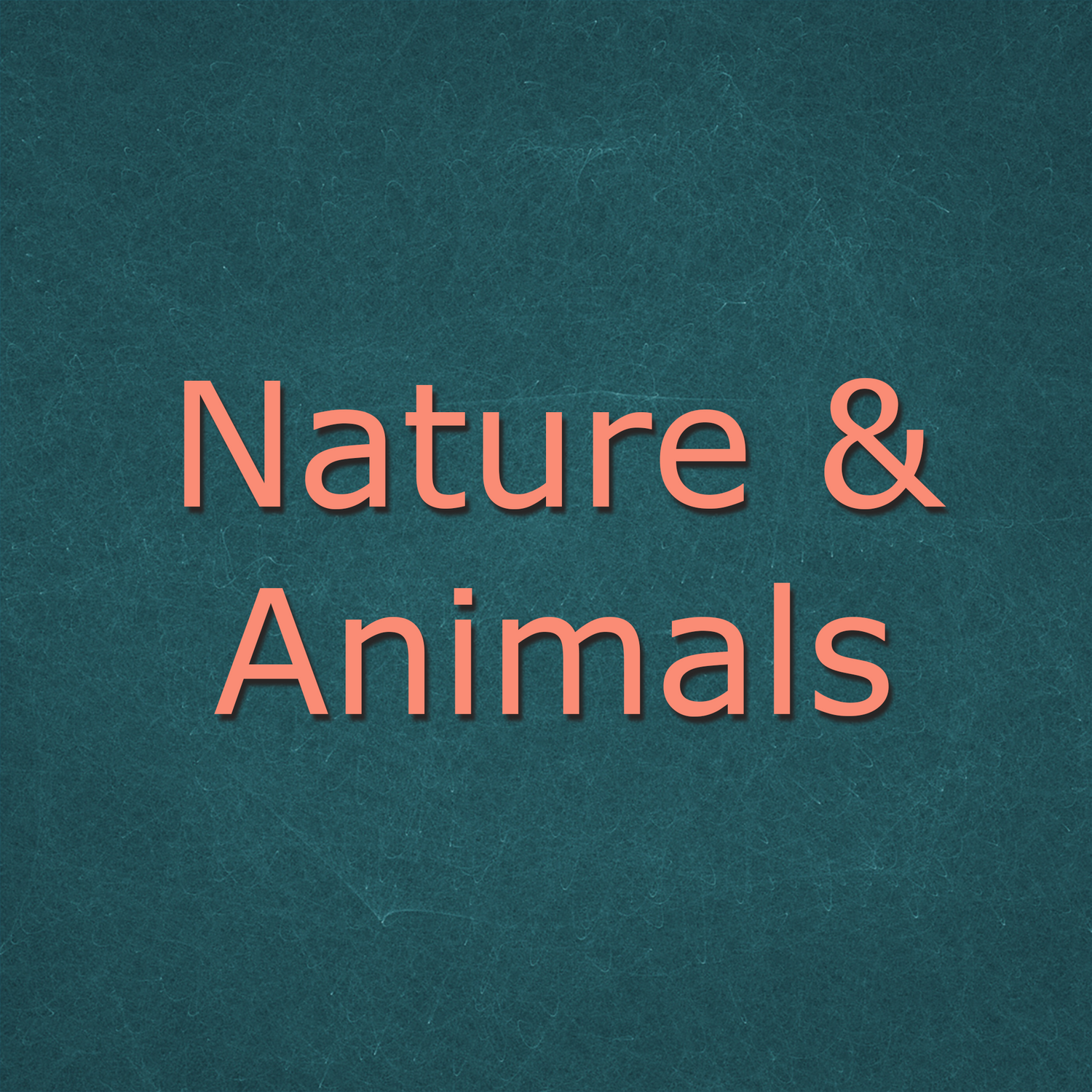 Nature & Animals