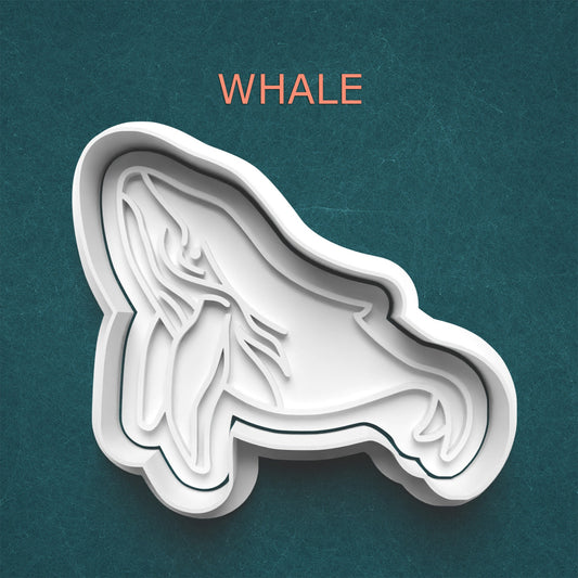 White whale-shaped cookie cutter on a teal background with 'WHALE' text.