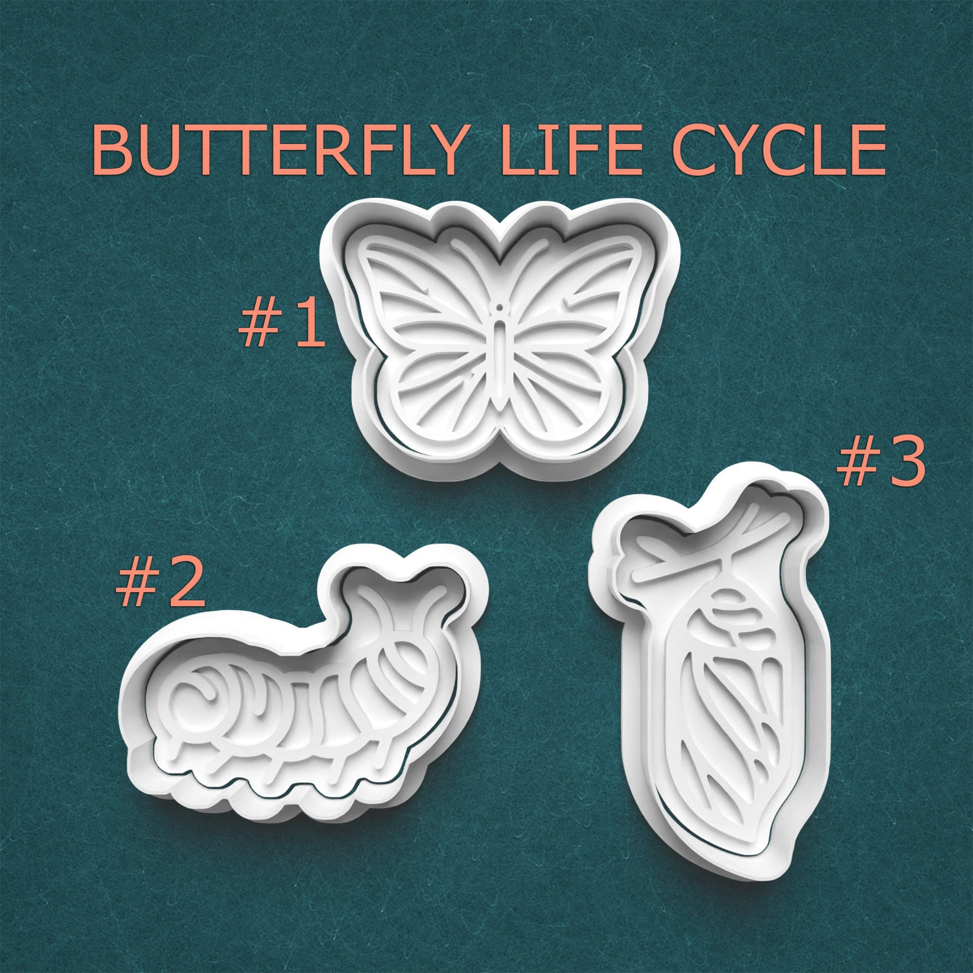 Butterfly life cycle cookie cutters on a teal background