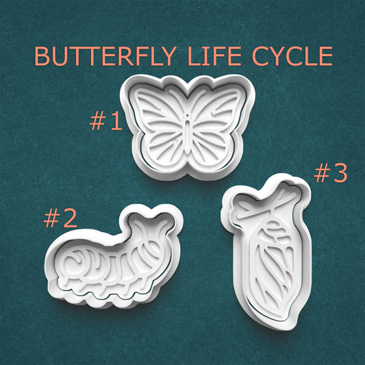 Butterfly life cycle cookie cutters on a teal background