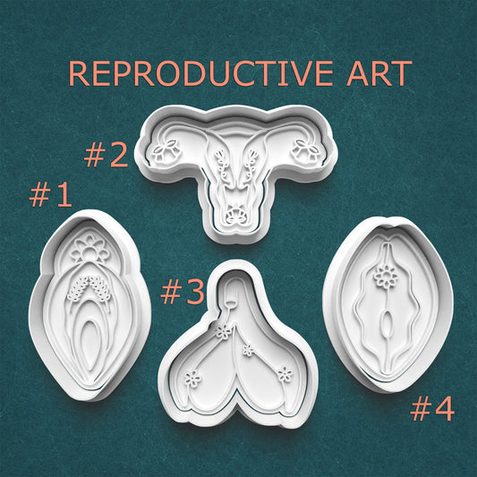 Reproductive Anatomy Cookie Cutter & Stamp Set – 4 Styles Available